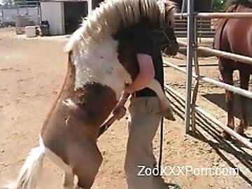 Anal Casting zoo